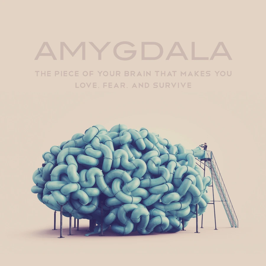 Amygdala Magazine cover